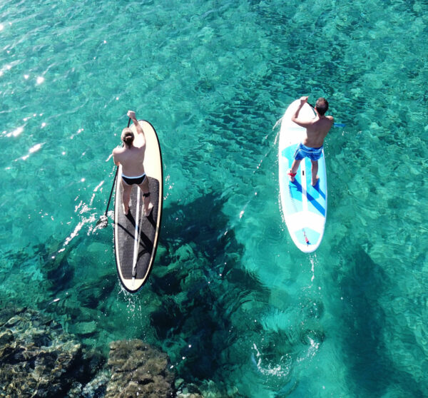 Paddle